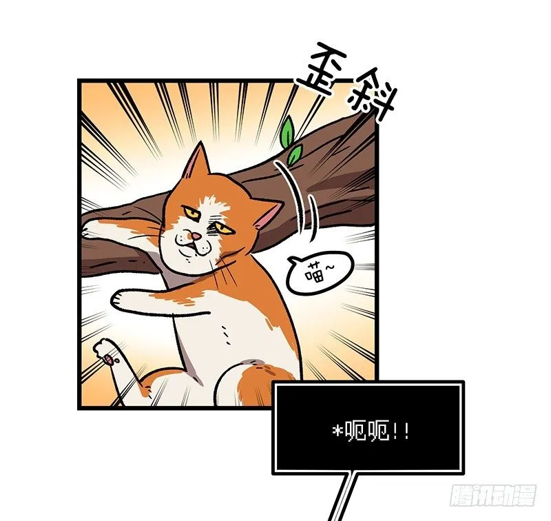 差别对待 第16页