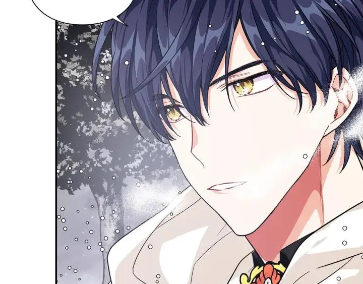 第76话 袭击目标太子妃？ 第29页