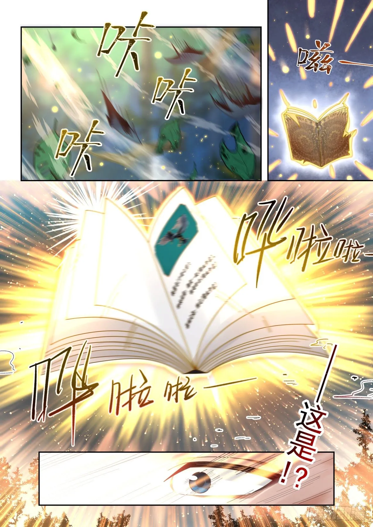 金色书册 第13页