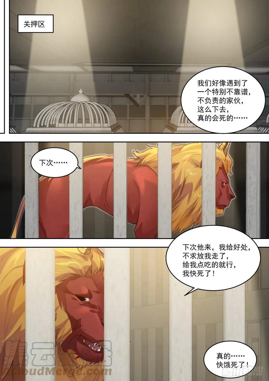 可怜的白枫 第13页