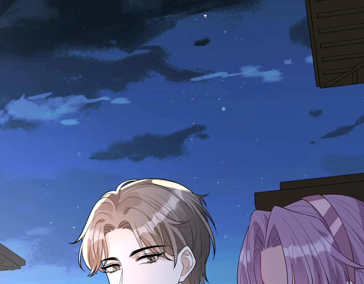 第116话 老家伙们的偏爱 第11页