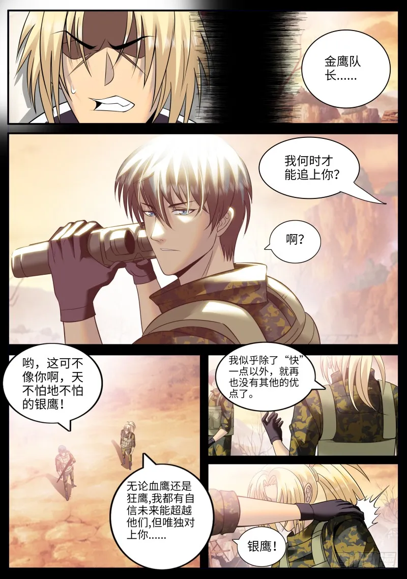 硬气的银鹰 第12页
