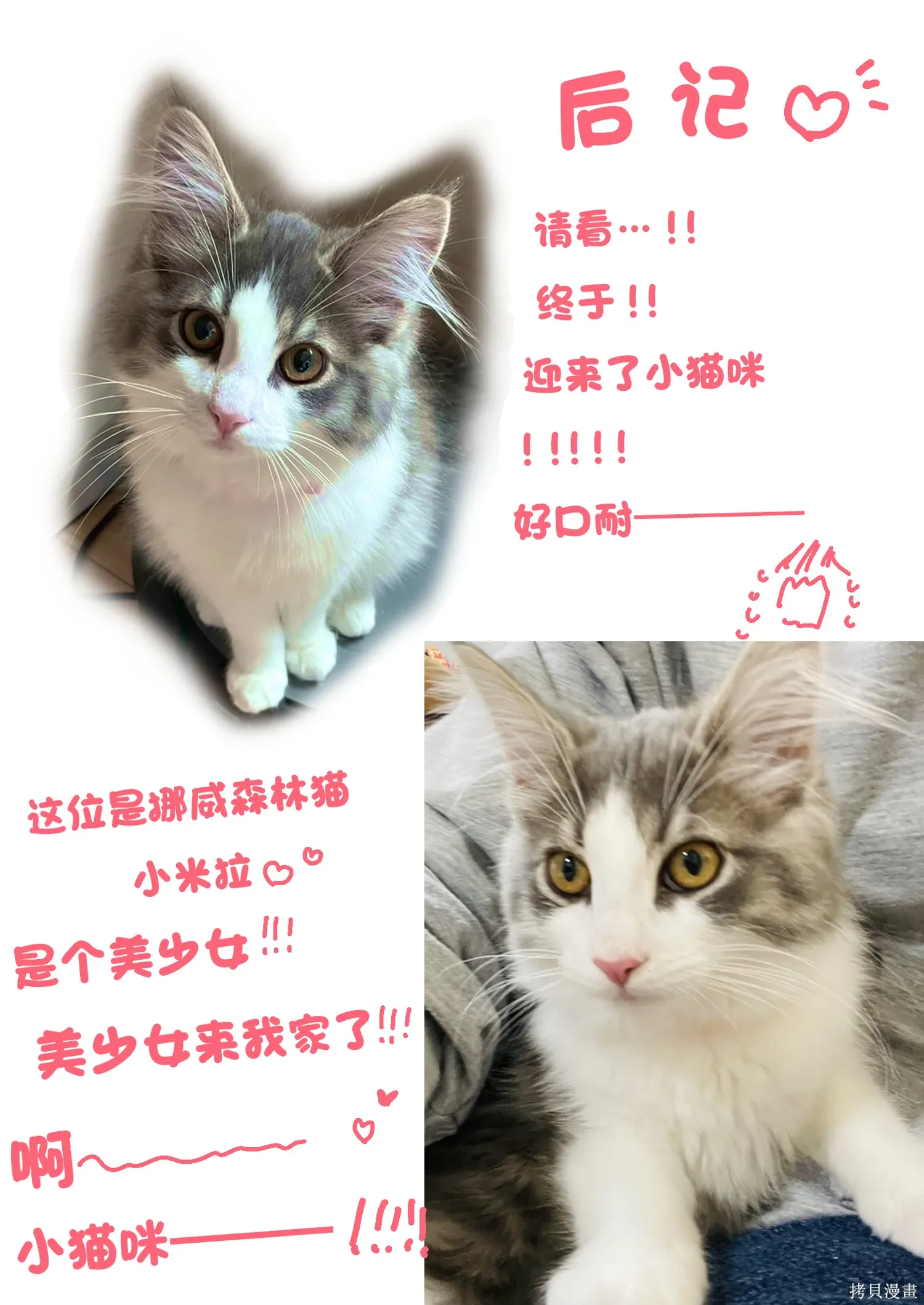 第99话 第15页