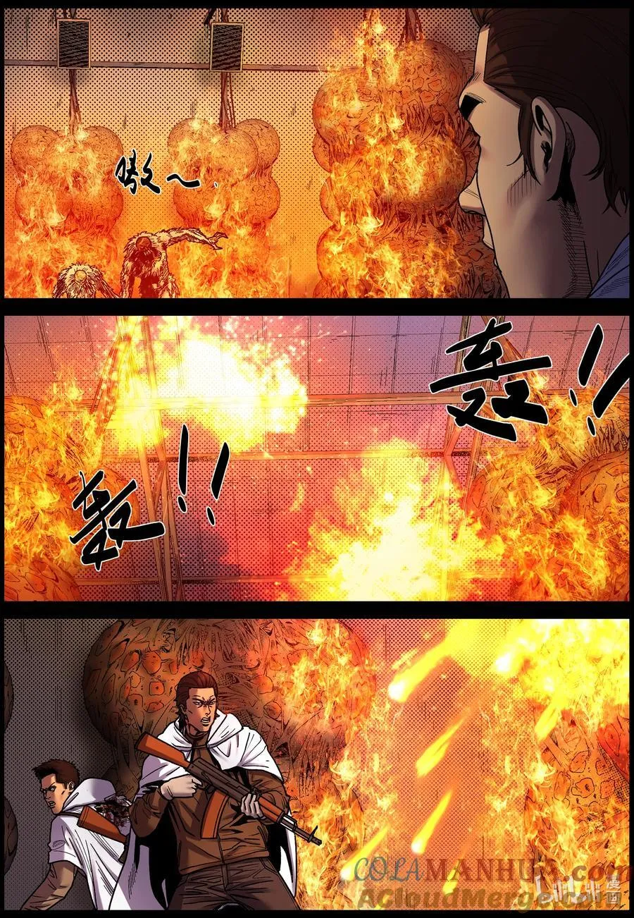 744 孵化厂1 第2页