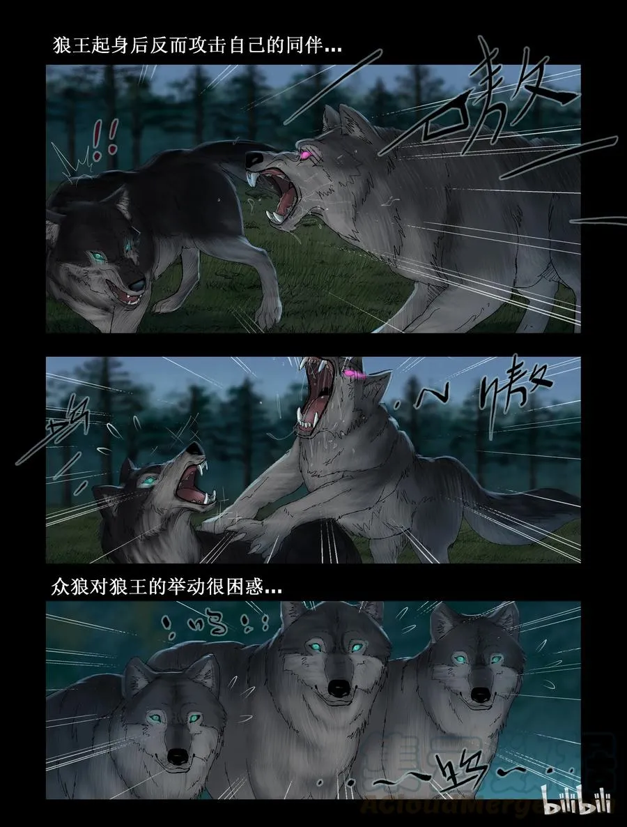 262 人杰vs狼王-2 第2页