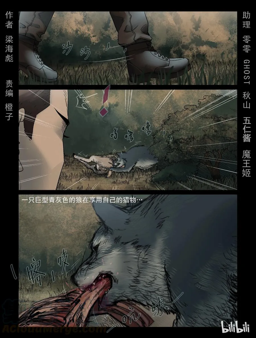 321 又见青狼-1 第1页