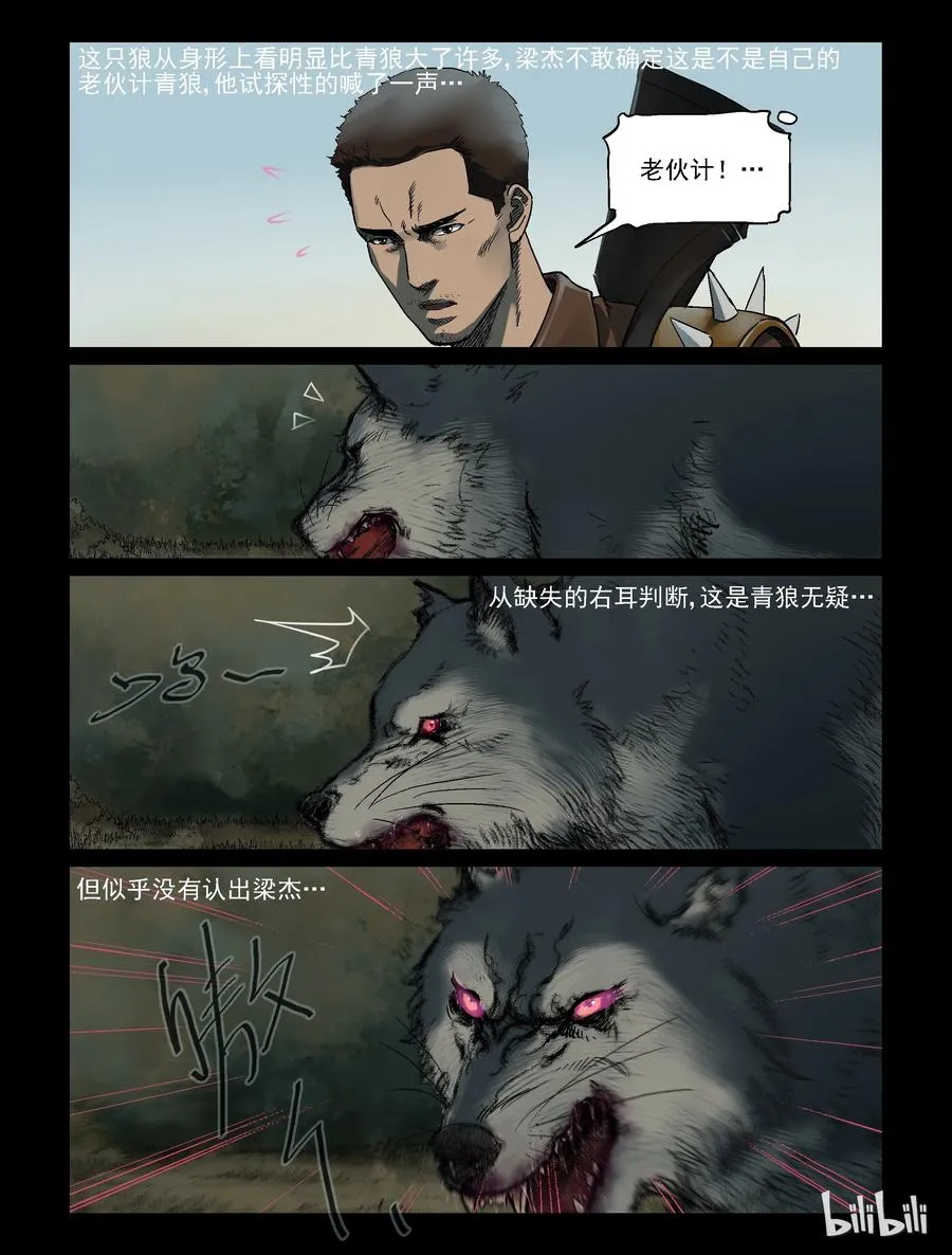 321 又见青狼-1 第2页