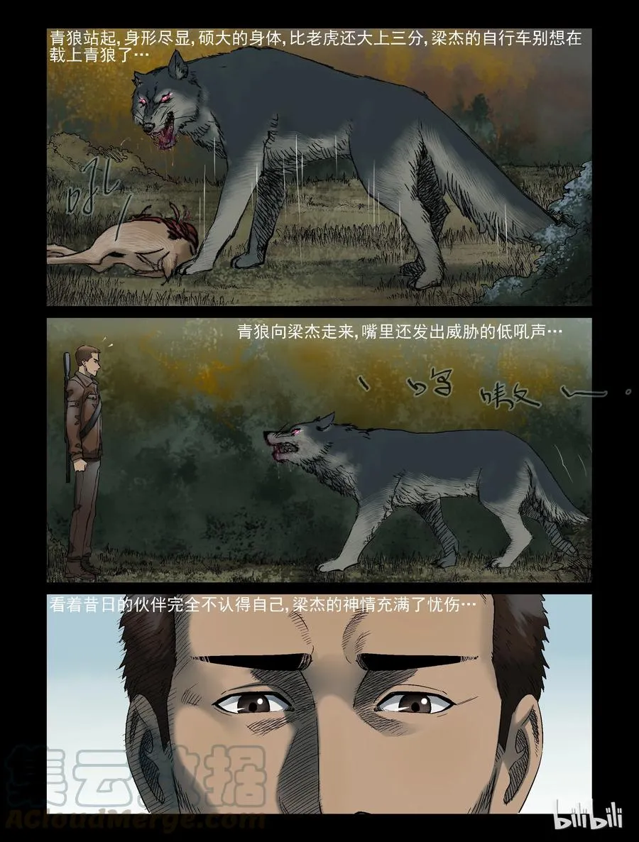 321 又见青狼-1 第3页
