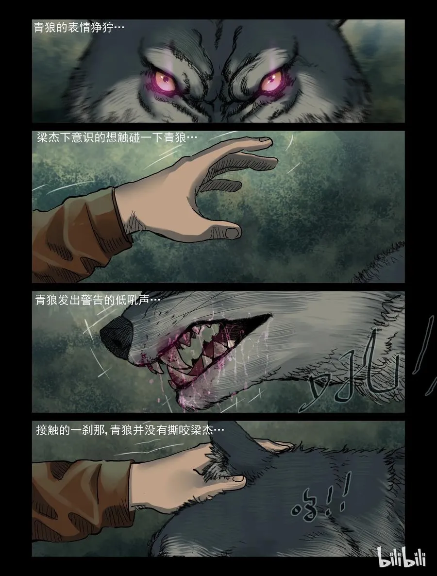 321 又见青狼-1 第4页