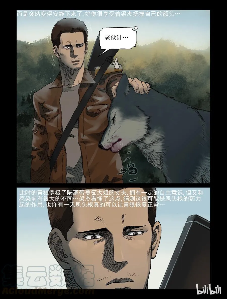 321 又见青狼-1 第5页