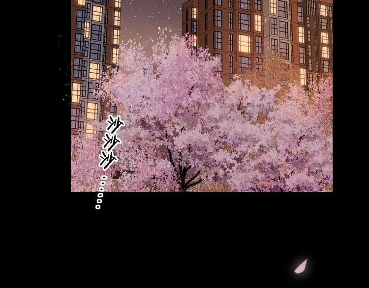 回忆篇：背后守护（四） 第41页