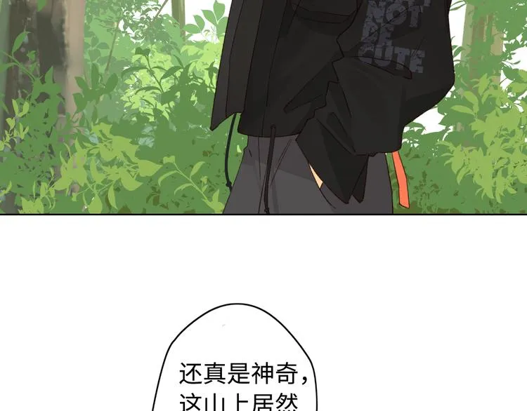 回忆篇：法国重“逢”（三） 第22页