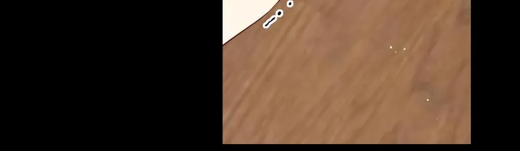 第43集 新的开始 第62页