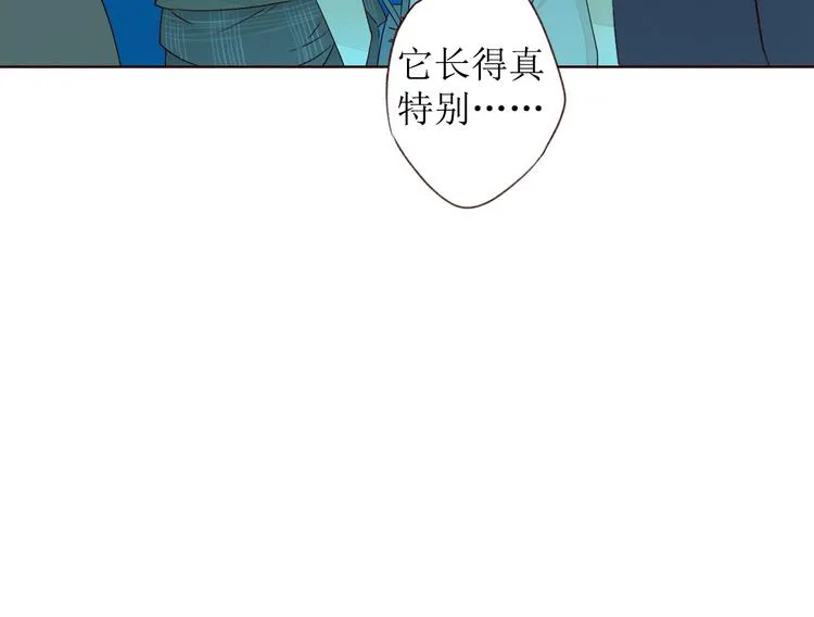 第8话 海底群星 第43页