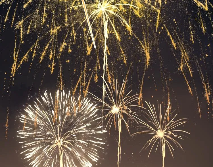 第1季完结篇 新年之吻 第107页