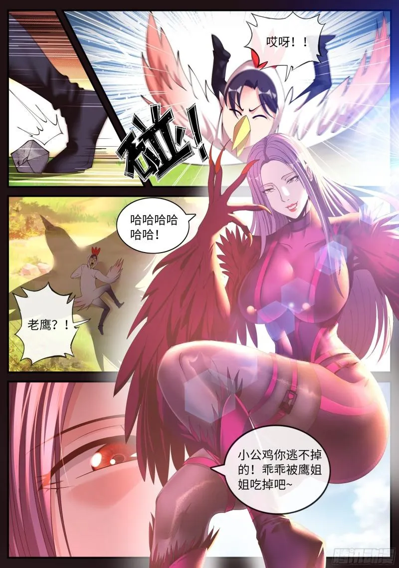 老鹰 第4页