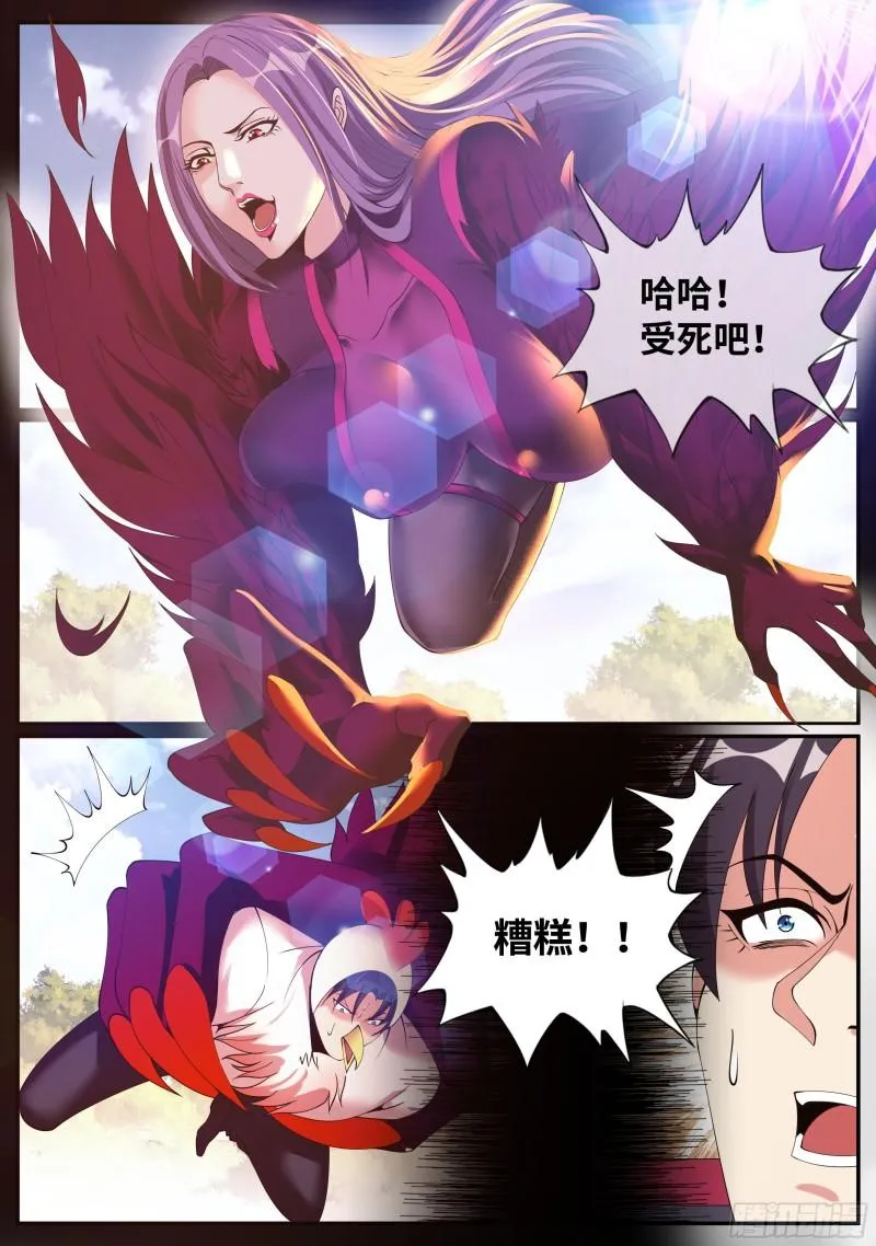 老鹰 第5页