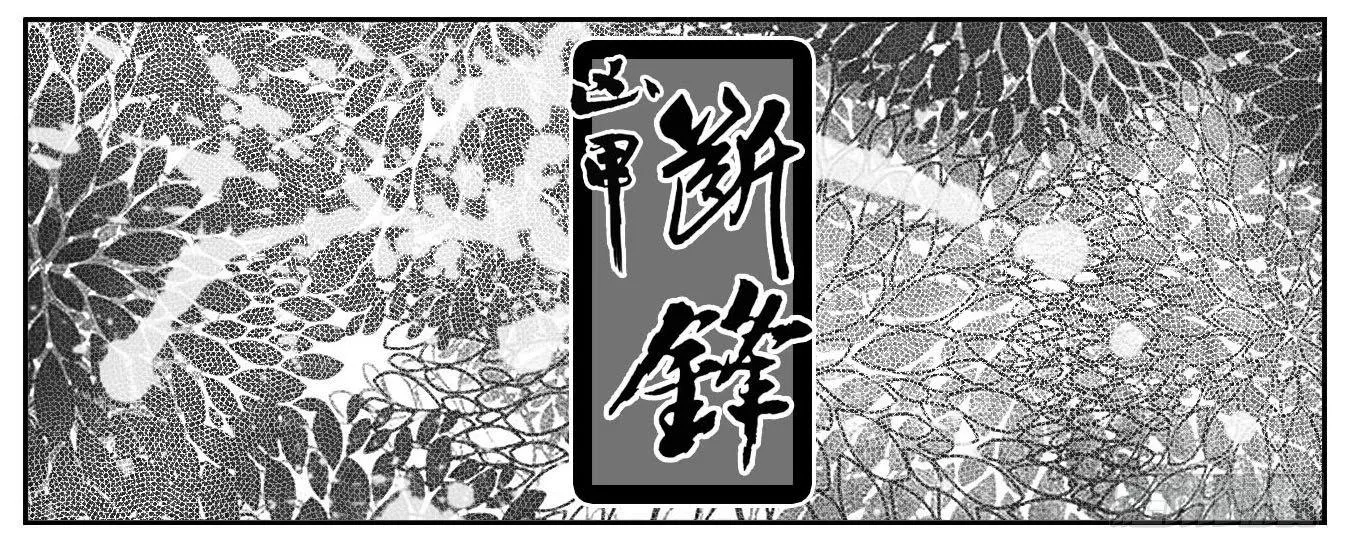 117终点_下 第11页