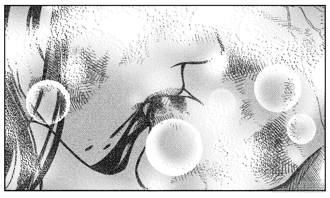 118道别_下 第5页