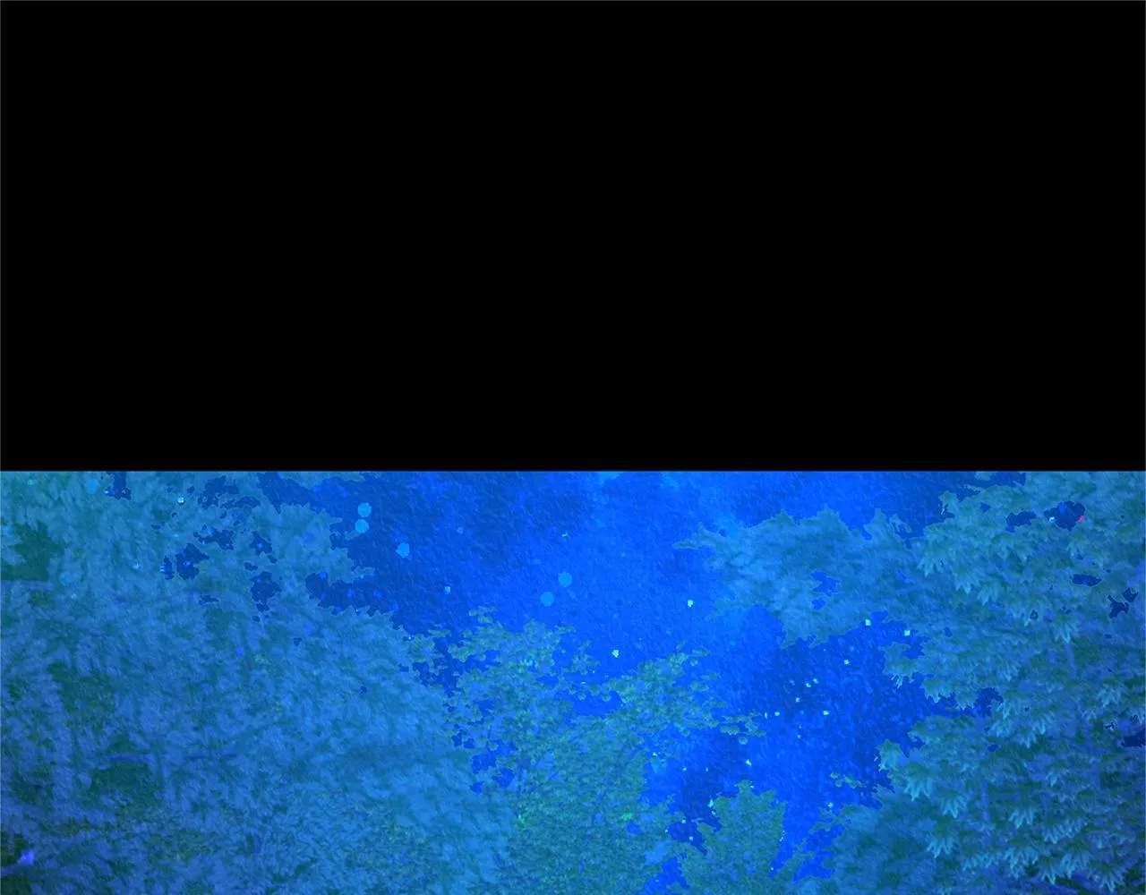 番外一 流沙兰的故事 第217页