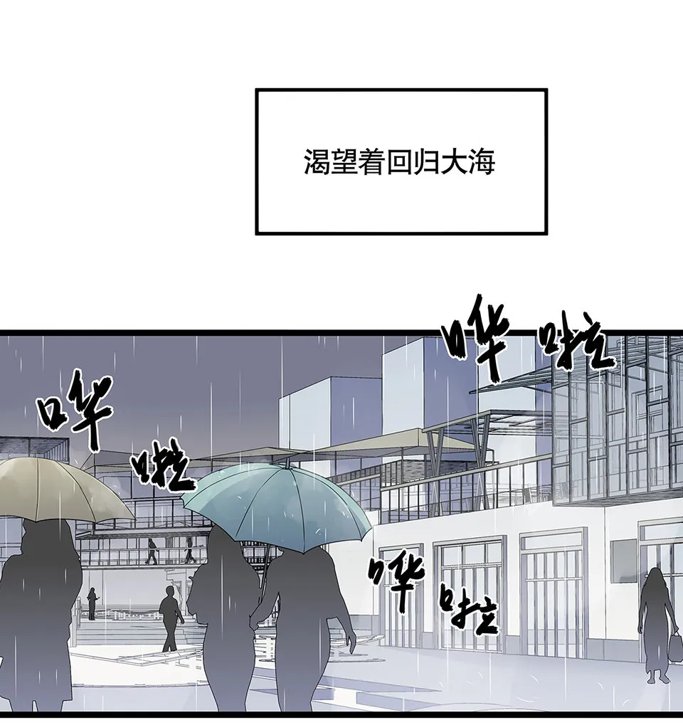 蝴蝶鱼·五 第17页
