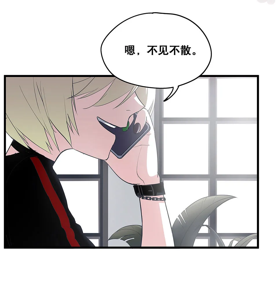 蝴蝶鱼·三 第8页