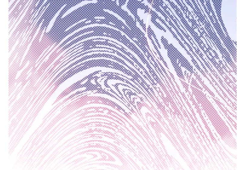 野蜘蛛·三 第268页