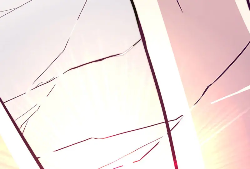 野蜘蛛·六 第212页