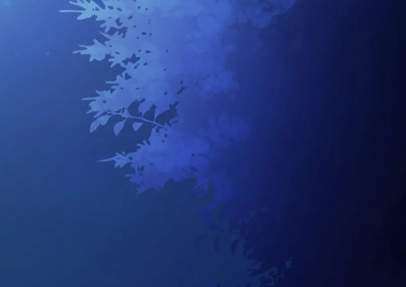 野蜘蛛·四 第8页