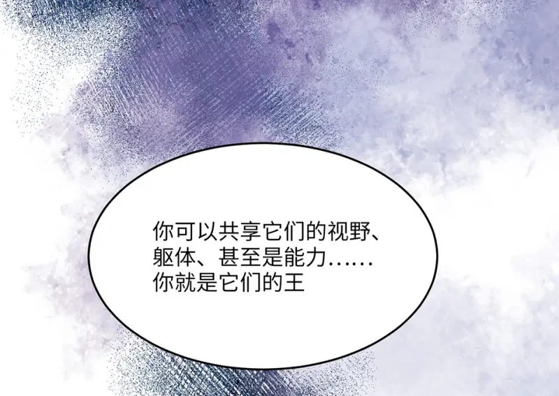 野蜘蛛·四 第53页