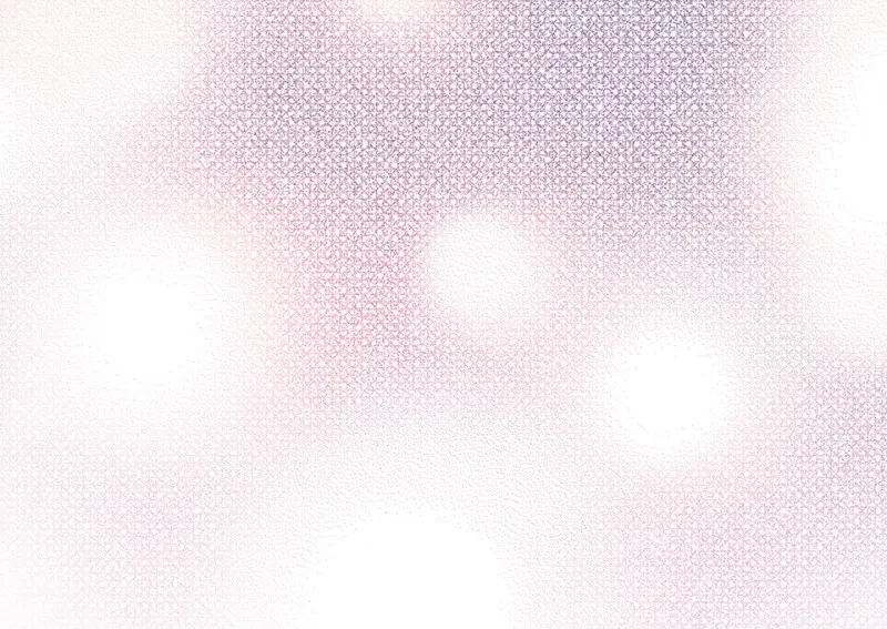 野蜘蛛·四 第122页