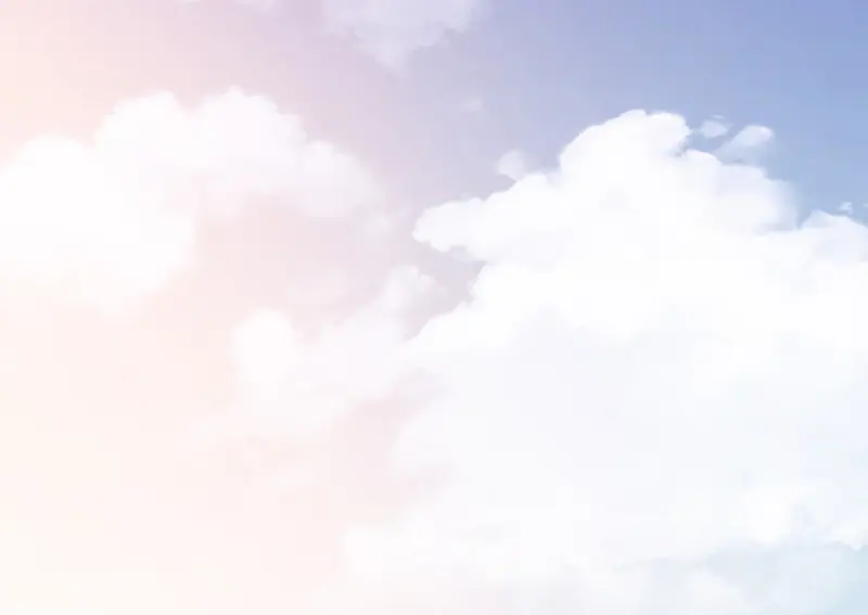 野蜘蛛·四 第163页