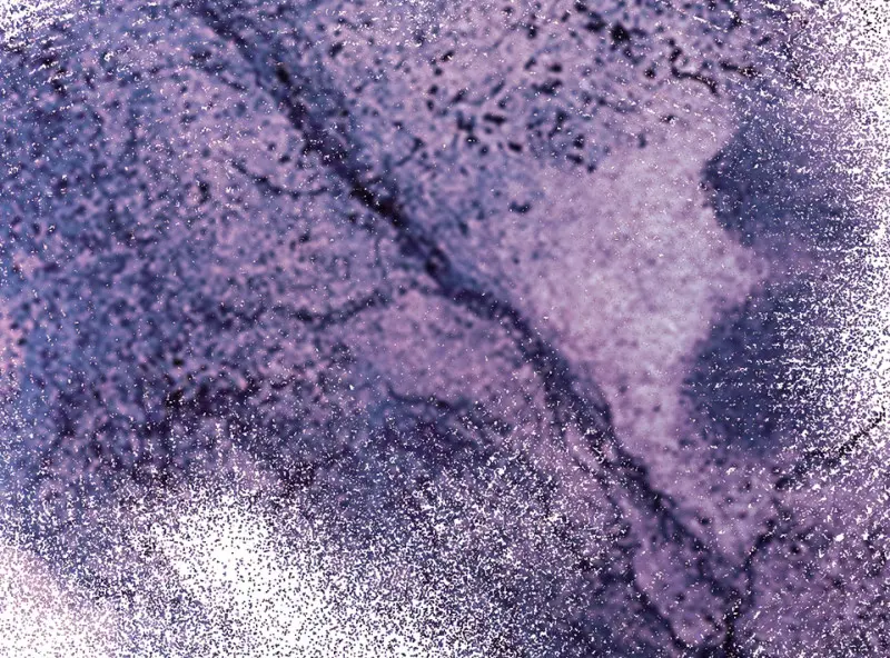 野蜘蛛·二 第156页