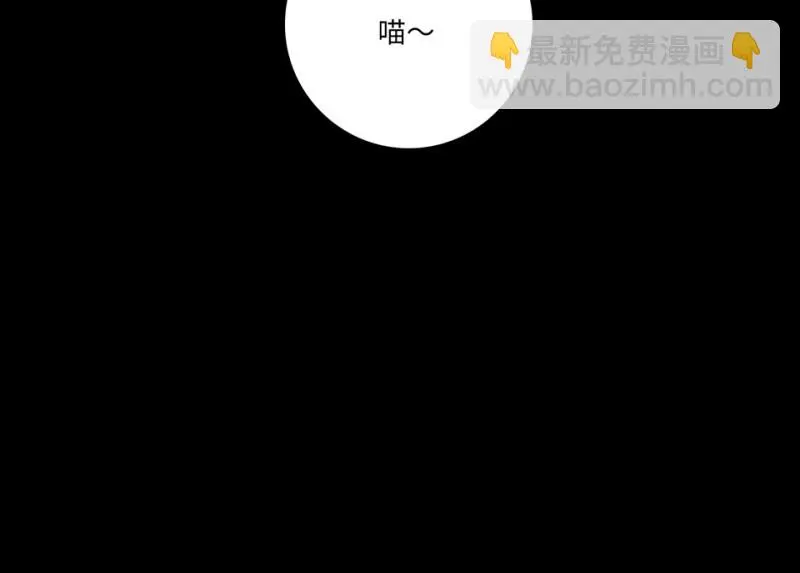 宠物食粮·七 第164页