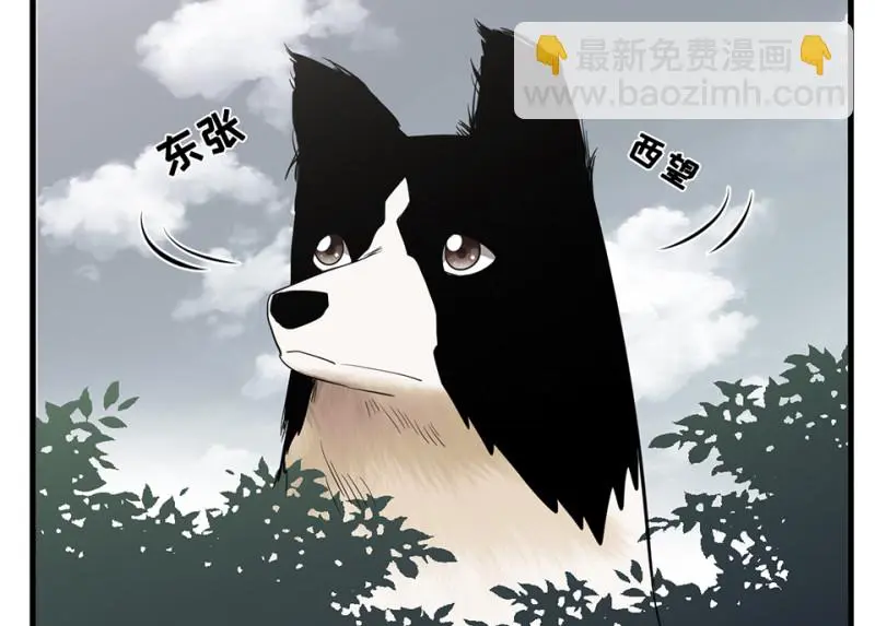 宠物食粮·五 第14页