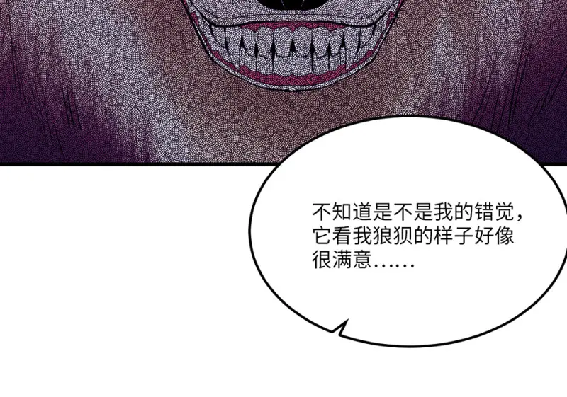 宠物食粮·五 第74页