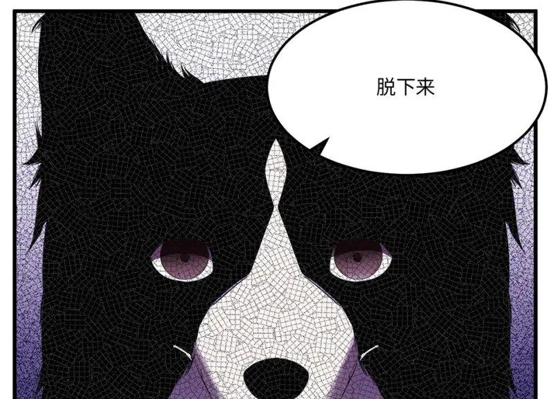 宠物食粮·四 第119页