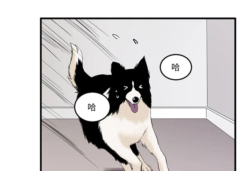 宠物食粮·三 第9页