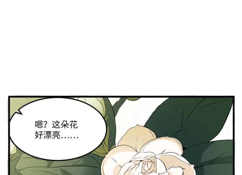 宠物食粮·三 第48页