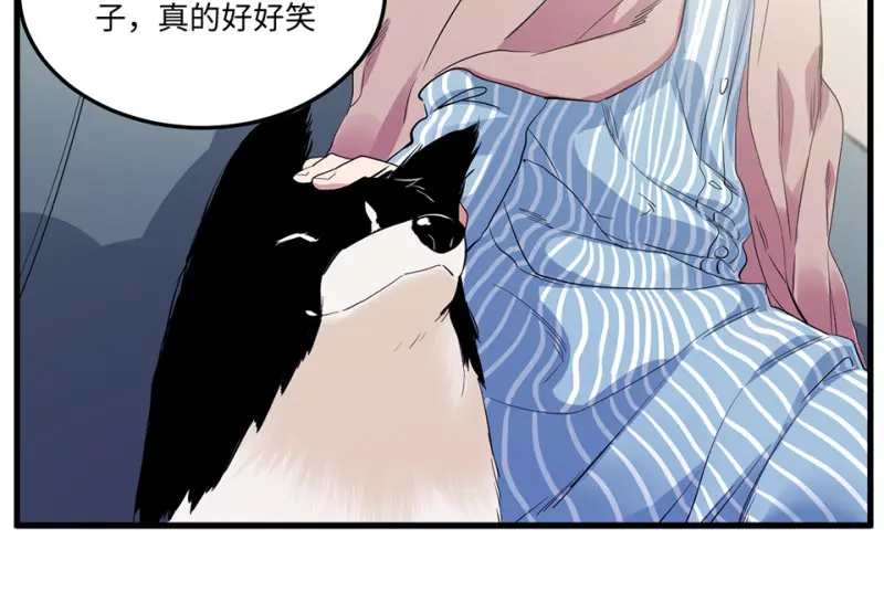 宠物食粮·三 第107页
