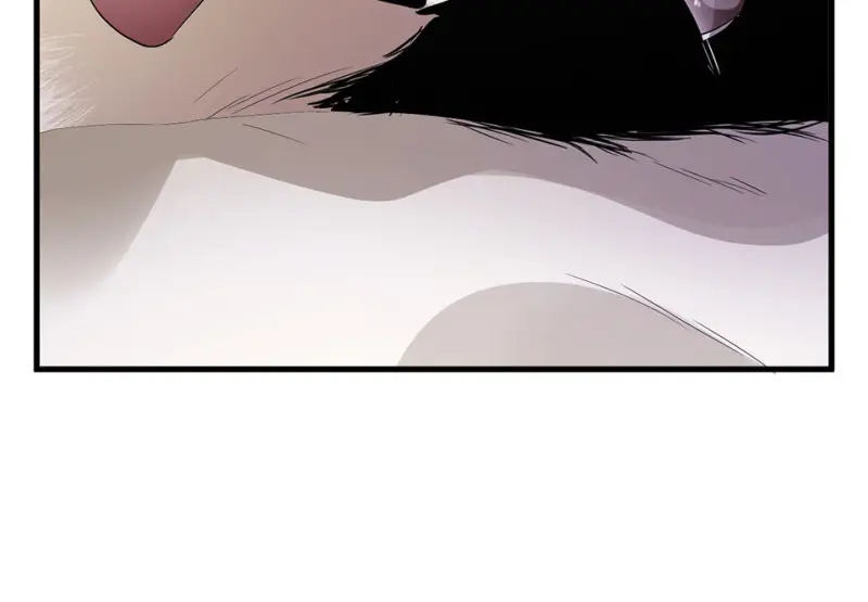 宠物食粮·二 第20页