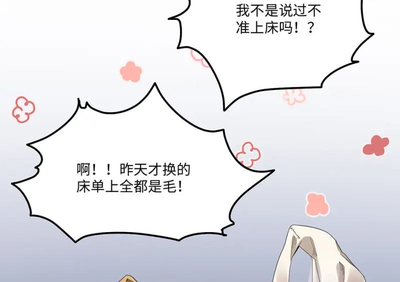 宠物食粮·二 第22页