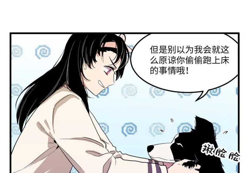 宠物食粮·二 第48页