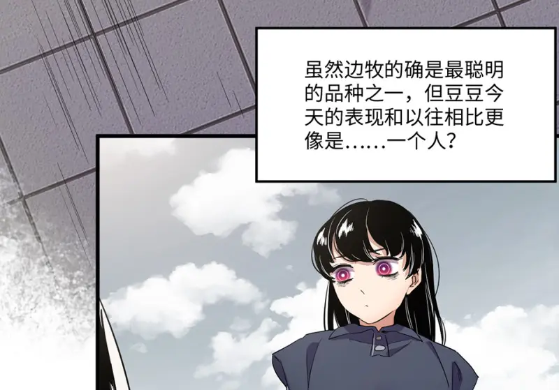 宠物食粮·二 第76页