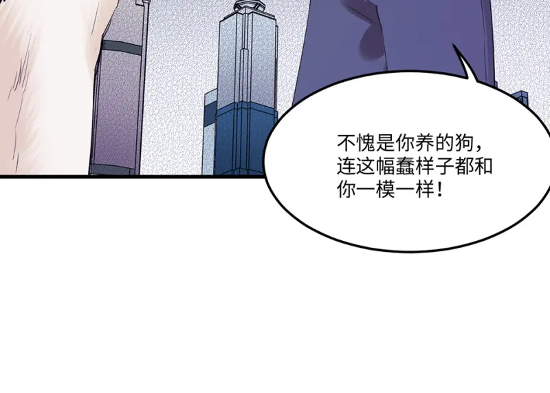 宠物食粮·二 第102页