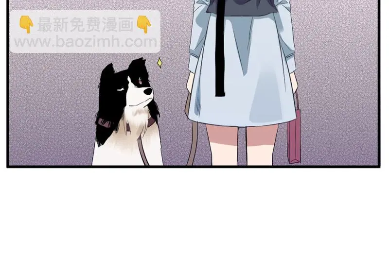 宠物食粮·二 第142页