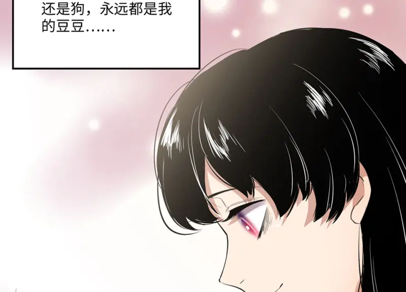 宠物食粮·二 第147页