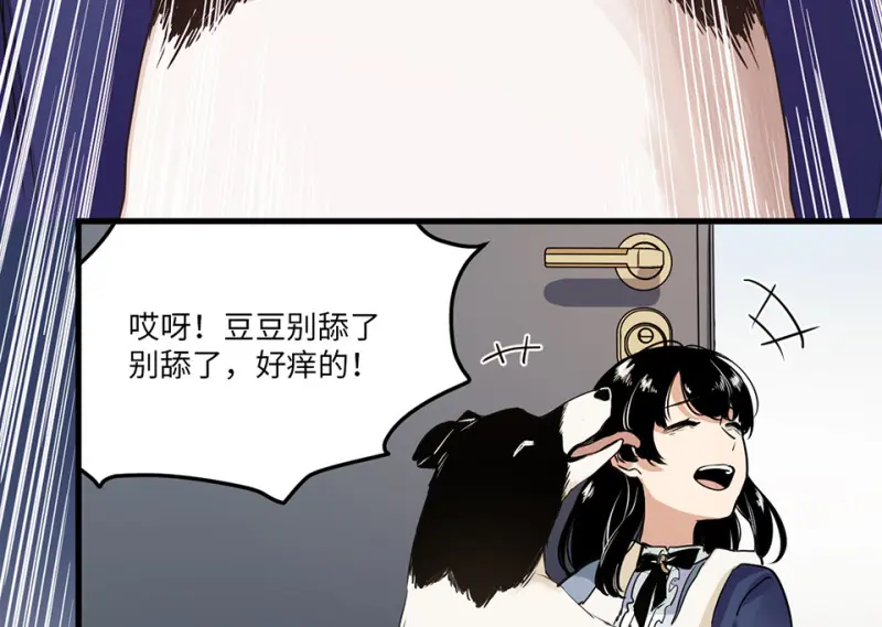 宠物食粮·一 第52页