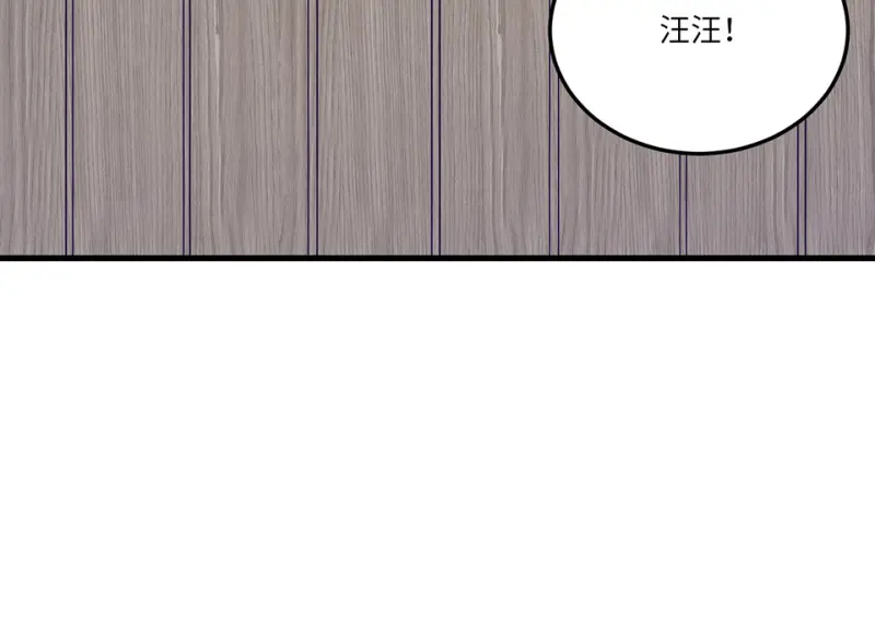 宠物食粮·一 第77页
