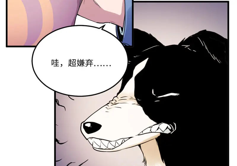 宠物食粮·一 第126页